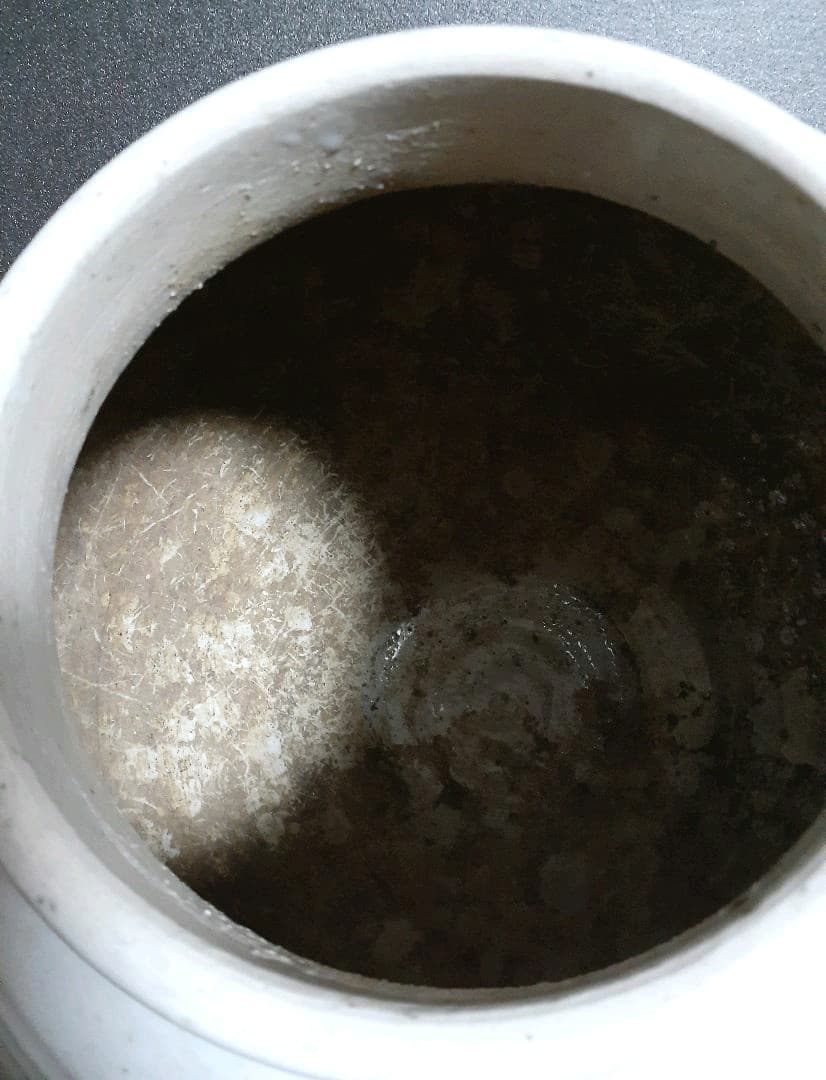 【名品大作】朝鮮古美術　朝鮮古陶磁器　古玩　李朝　辰砂　蓮花図　提灯大壺　【迫力