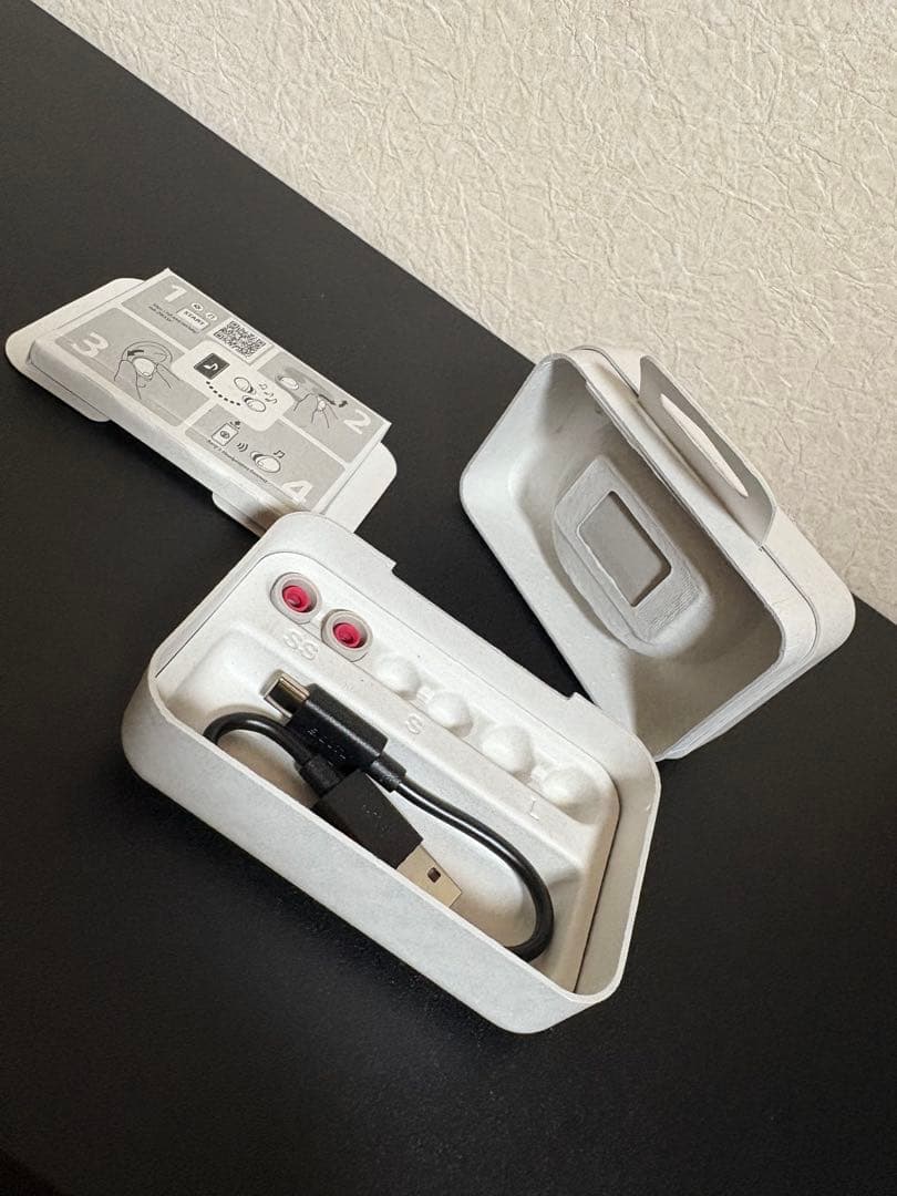 ピーピ ワイヤレスイヤホン WF-1000XM5（S） プラチナシルバー