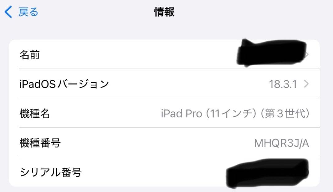 Apple iPad Pro 第3世代+ Apple Pencil