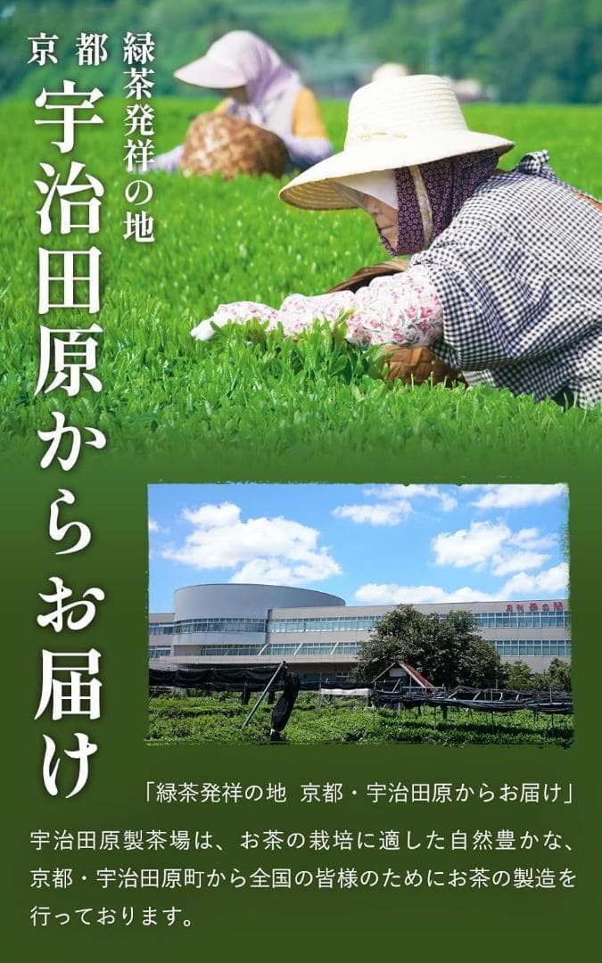 京都・宇治田原製茶場 上級 深蒸し 茶葉 京の雅 1kg (250g×4パック)