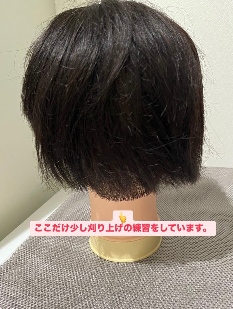 国家試験用カットウィッグ3頭新品未使用➕おまけウィッグ付き