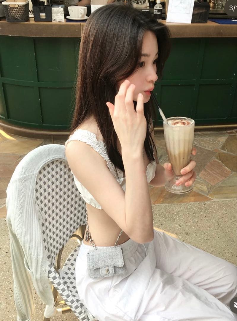 美品thebarnnet tweed chainbelt mini bag