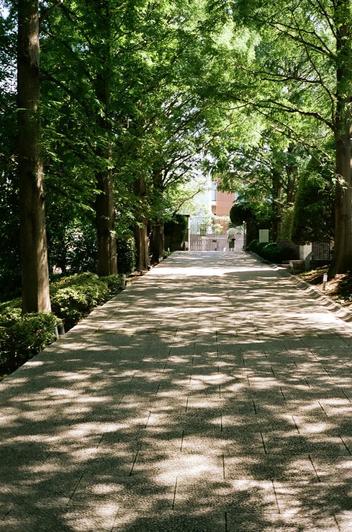 光学極美品　minolta HI-MATIC E