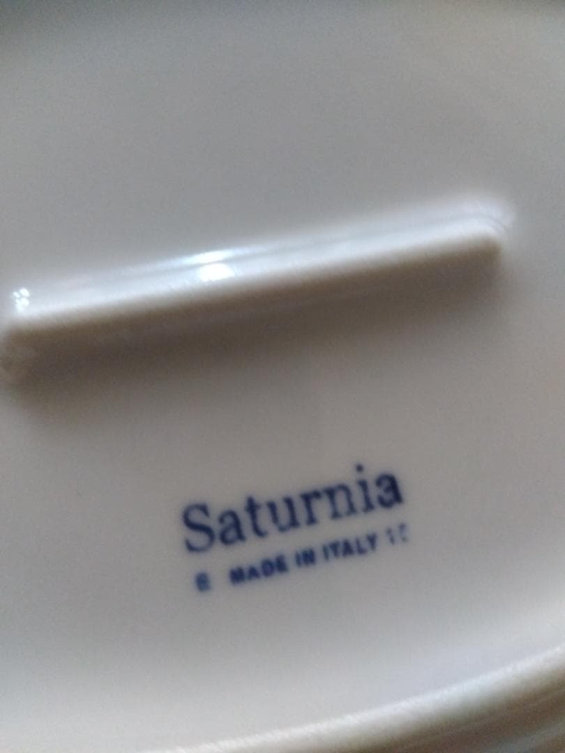 Saturnia チボリ 25cm 食器 Made in Italy 5枚