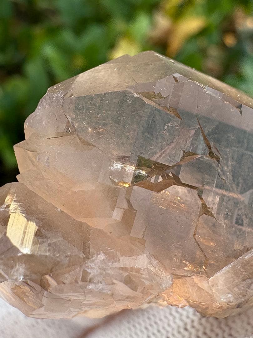 【匿名発送】パキスタン産スモーキーグインデル