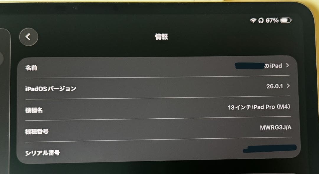 極美品 13インチiPad Pro M4 1TB Nano Texture