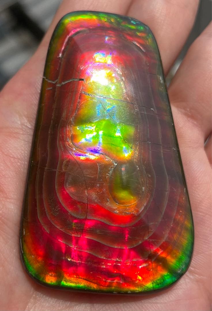 【期間限定セール】アンモライト 天然研磨ルースストーン