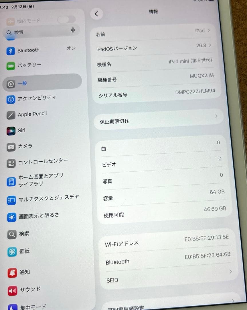 iPad mini5 第5世代 64GB (20) 88%
