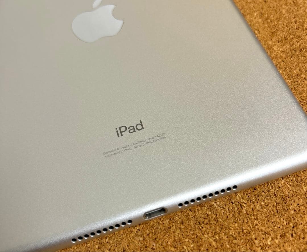 iPad mini5 第5世代 64GB (20) 88%