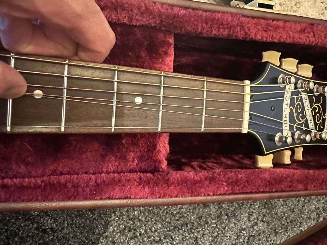 Epiphone Century Olympic 専用ハードケース