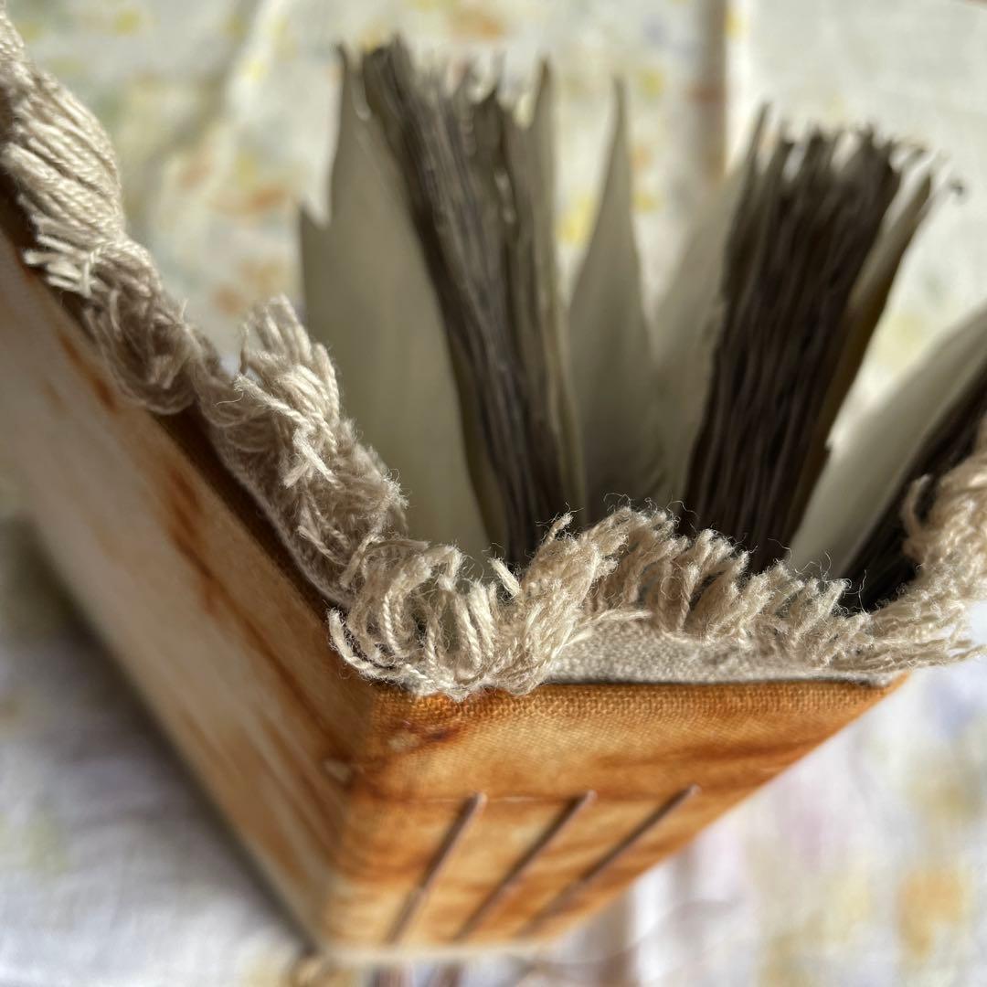 7月20日　ぱおら様2冊　「花ゲリラの本」　 「襤褸の本13〜路地裏の本2〜」