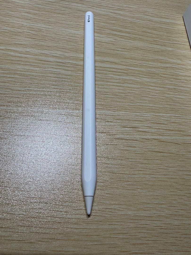 iPad Pro 12.9 （第4世代 SIMフリー 1TB）