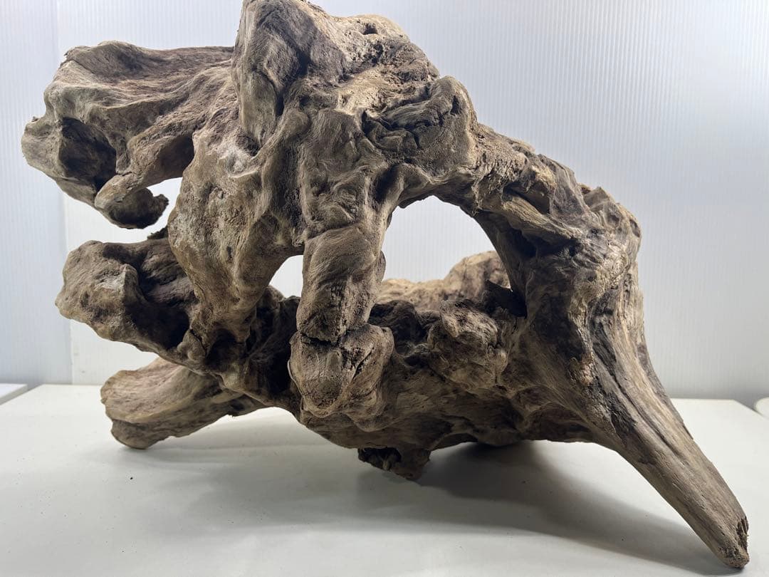 W30大型流木アク抜き済み流木 爬虫類シェルター 登り木 インテリア 生け花