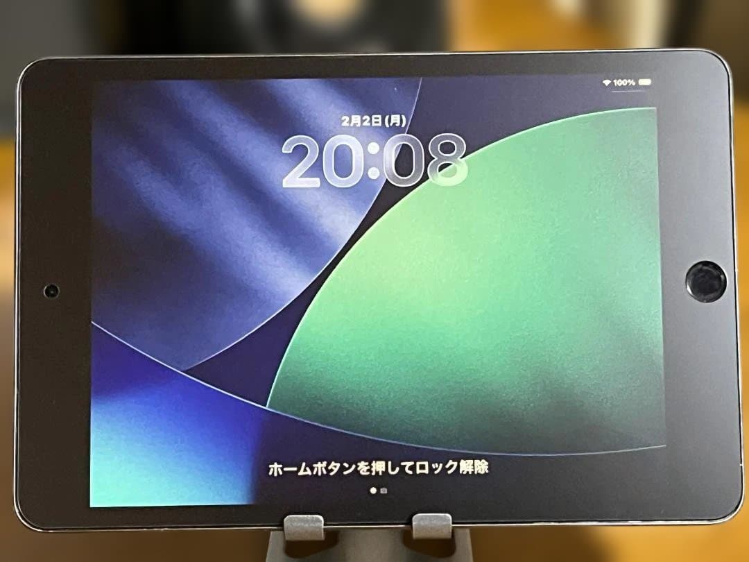 た*と様 iPad mini 第5世代 64GB　バッテリー交換済