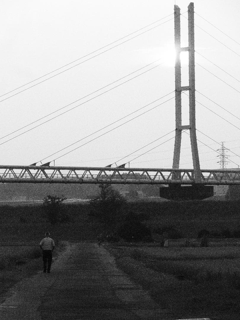 Panasonic LUMIX TZ10 デジタルカメラ