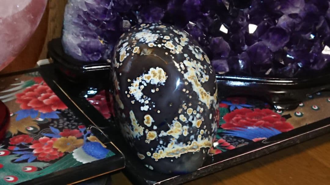 ブルーメノウドーム　人気急上昇　ドゥルージータイプ  知性、幸運をもたらす