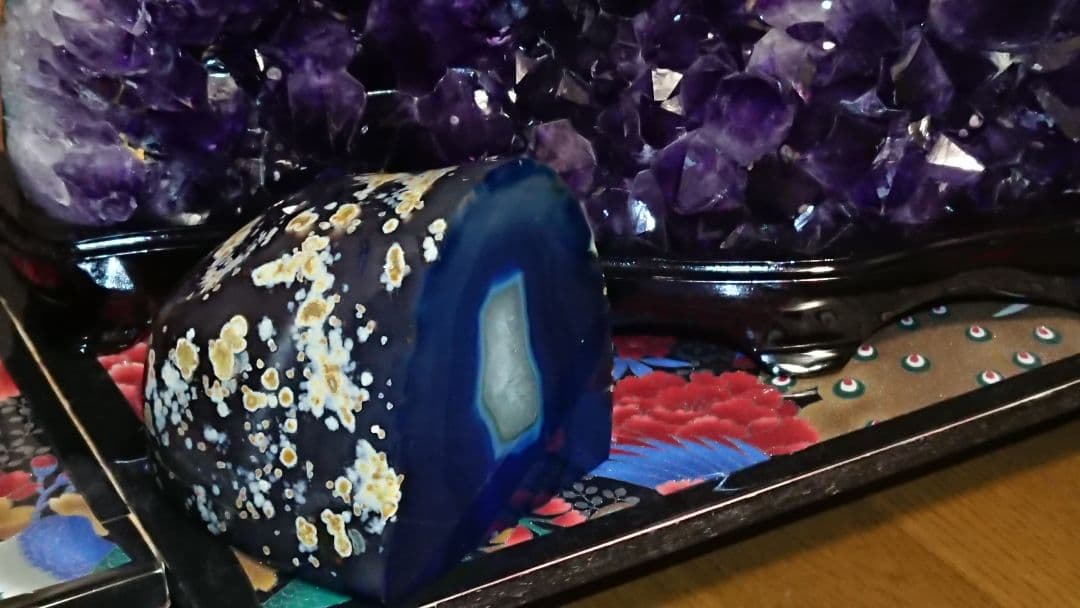 ブルーメノウドーム　人気急上昇　ドゥルージータイプ  知性、幸運をもたらす