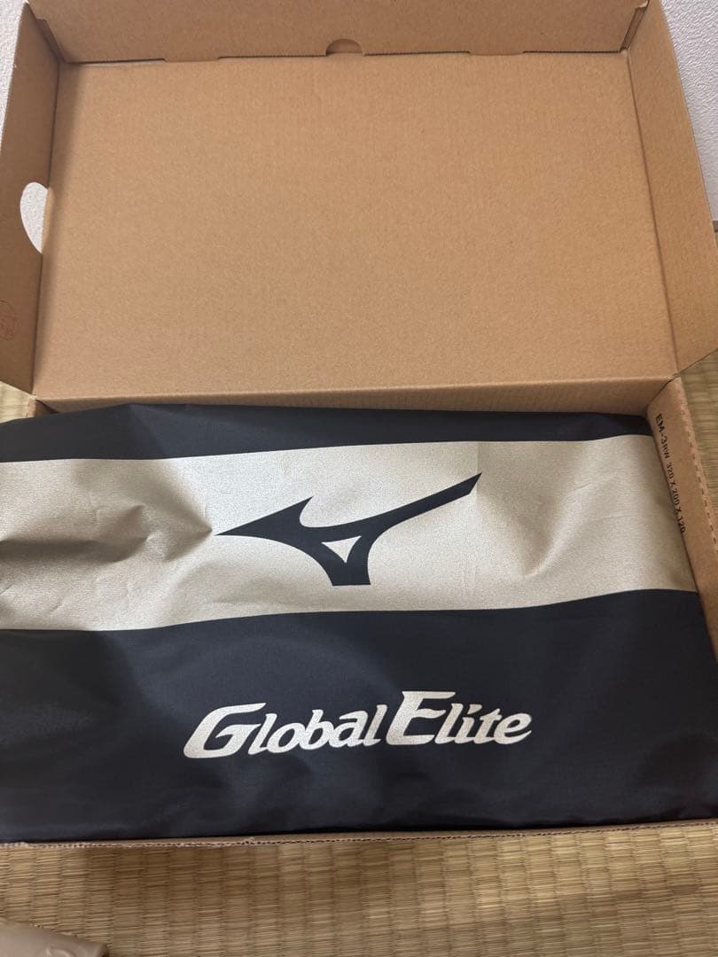 Mizuno 野球　スパイク　オーダー