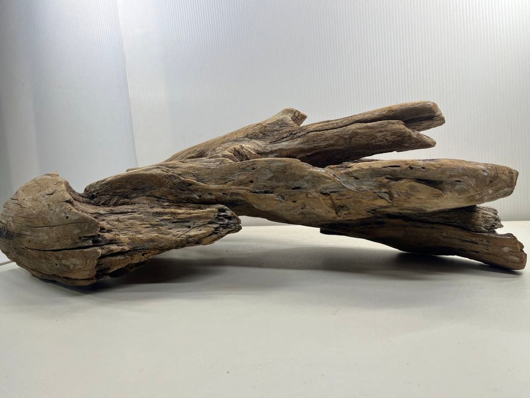W28特大流木アク抜き済み流木 爬虫類シェルター 登り木 インテリア 生け花
