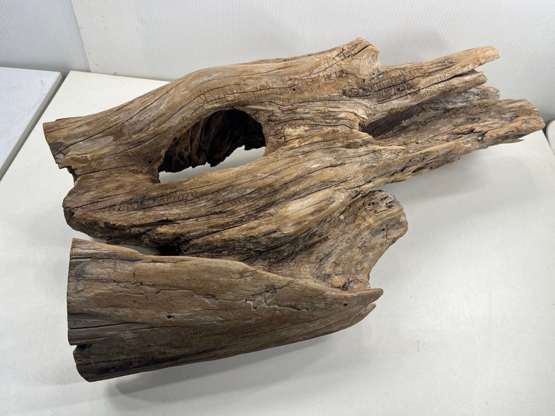 W28特大流木アク抜き済み流木 爬虫類シェルター 登り木 インテリア 生け花