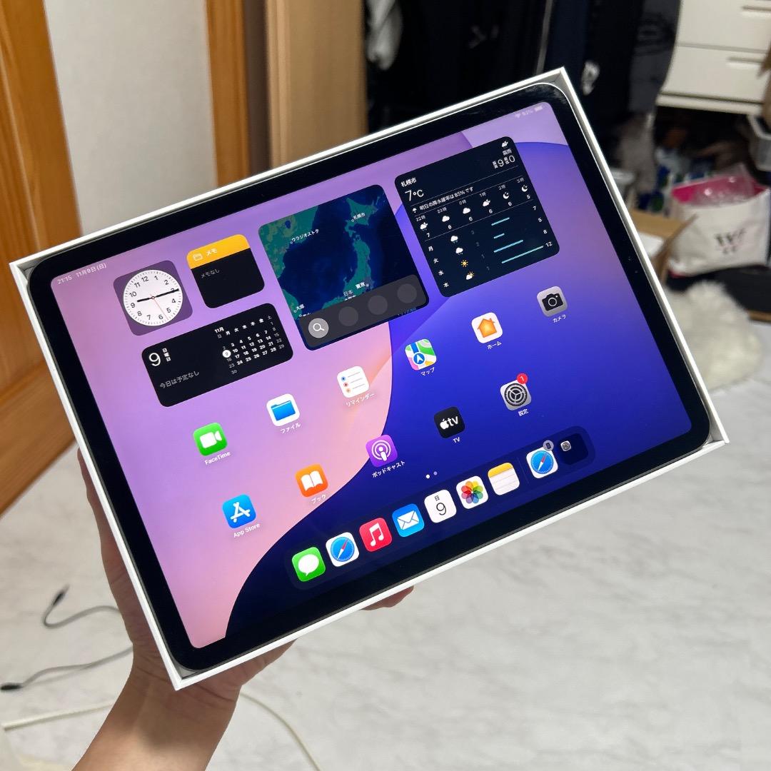 美品　iPad Pro 11インチ　第2世代　256GB Wi-Fiモデル