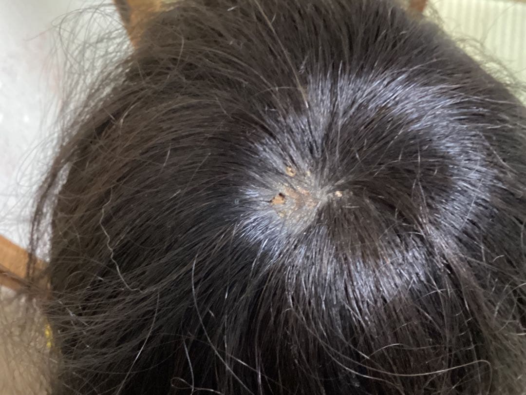 市松人形 74cm 花月斎？　石黒製作　綿入り着物　抱き人形　吹子付き