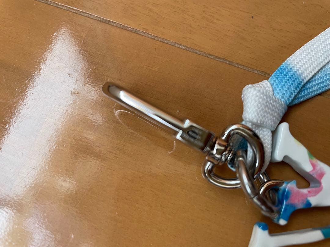 Louis Vuitton ウォーターキーホルダー