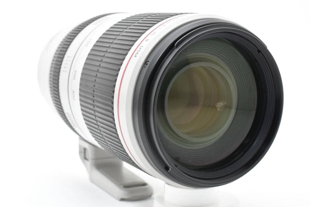 ★美品★ EF 100-400mm F4.5-5.6 L IS II USM