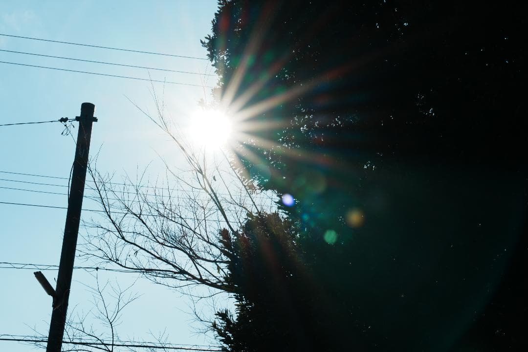 未使用級美品 SEL70300G プロ検証済み 家族の思い出を残す一本