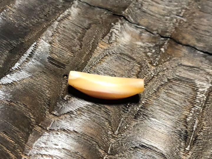 古代カーネリアン　アイビーズ　紀元前