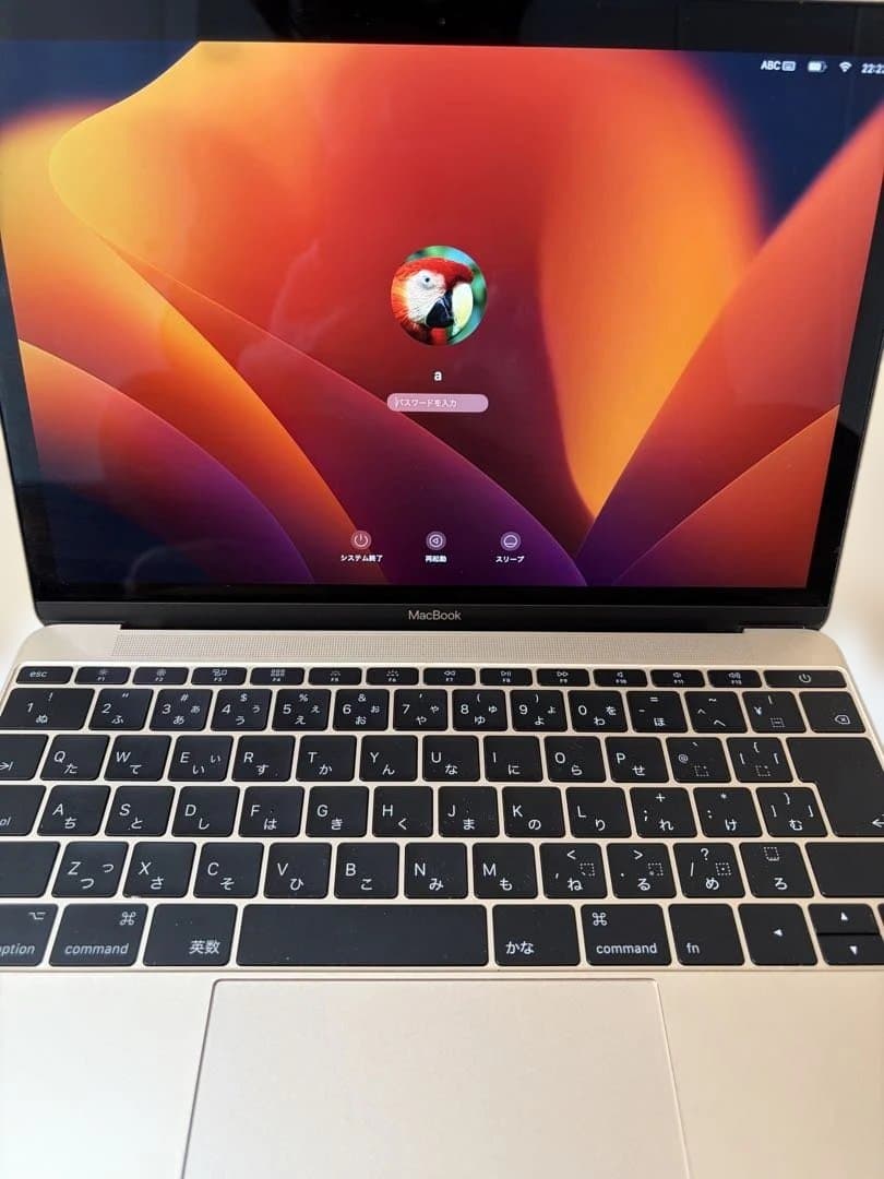 MacBook Retina 12インチ 2017モデル　ゴールド