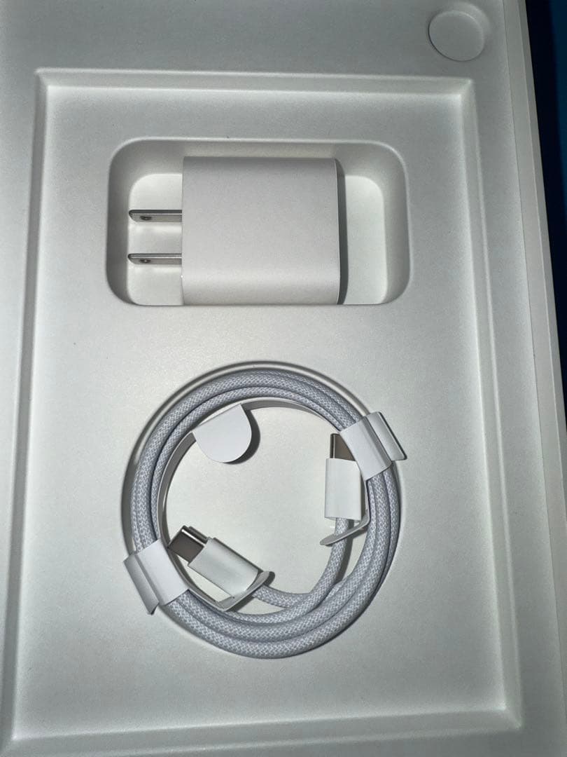 iPad mini 第７世代 128GB Cellular ブルー