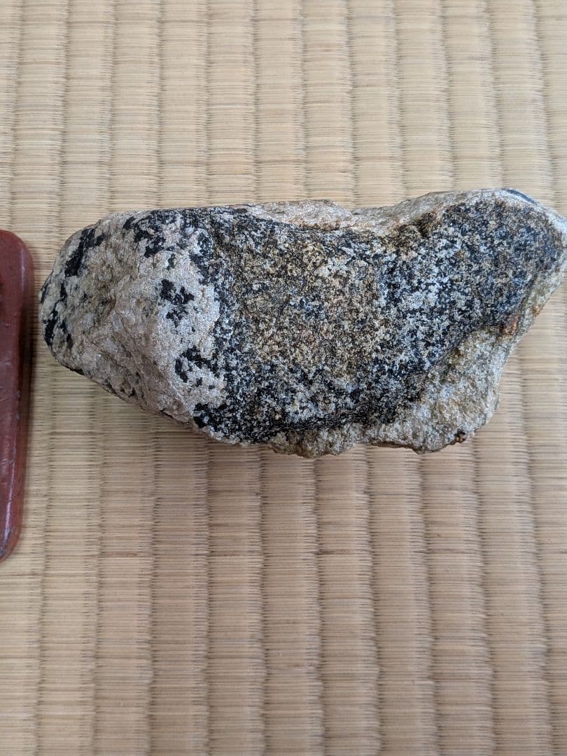 南極の石 コレクション用