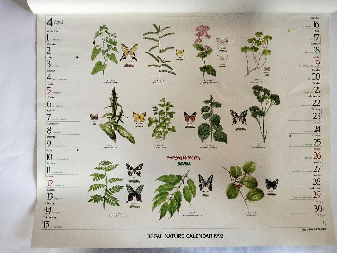BE-PAL ビーパル カレンダー 新品未使用 1992年 ヴィンテージ
