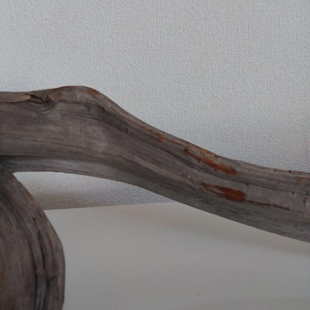 ★大幅値下げしました★真柏の枯れ木(カレボク) 盆栽の枯れ木④　神