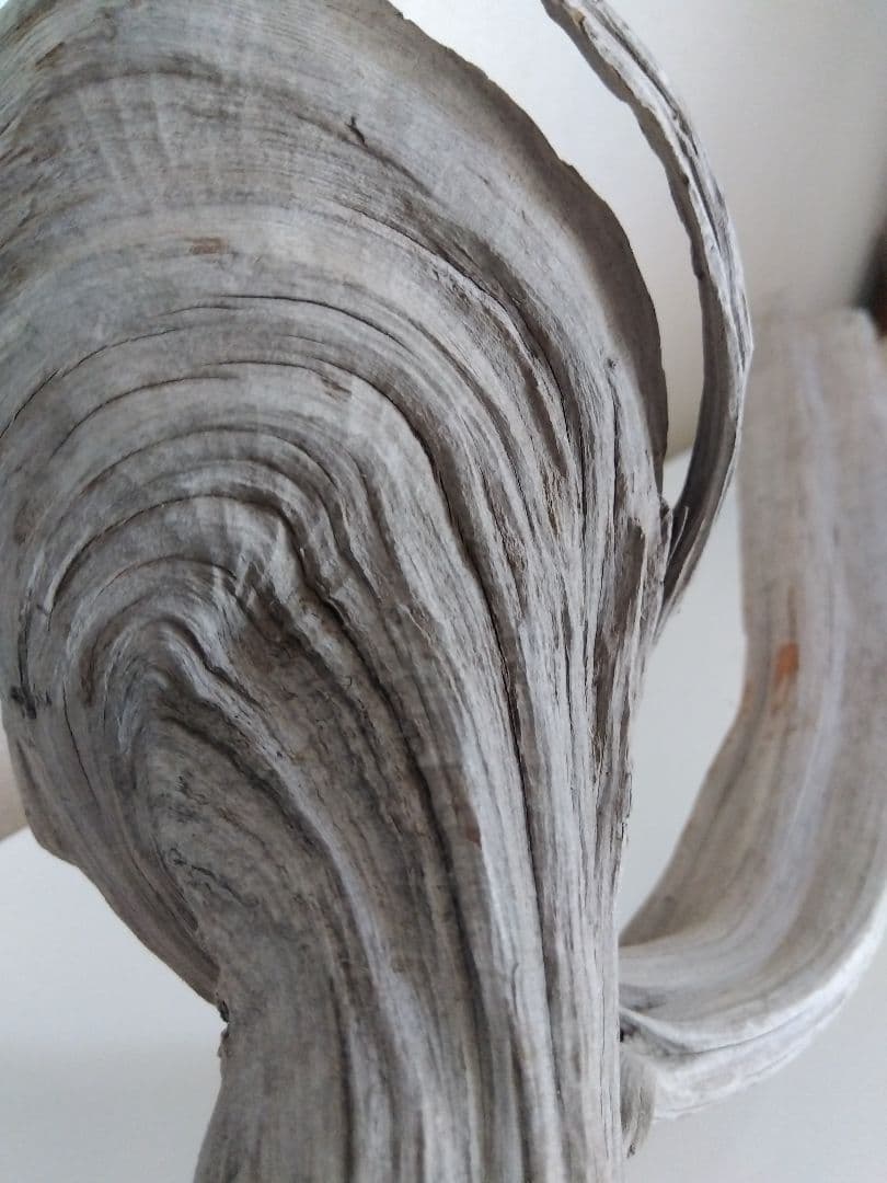 ★大幅値下げしました★真柏の枯れ木(カレボク) 盆栽の枯れ木④　神