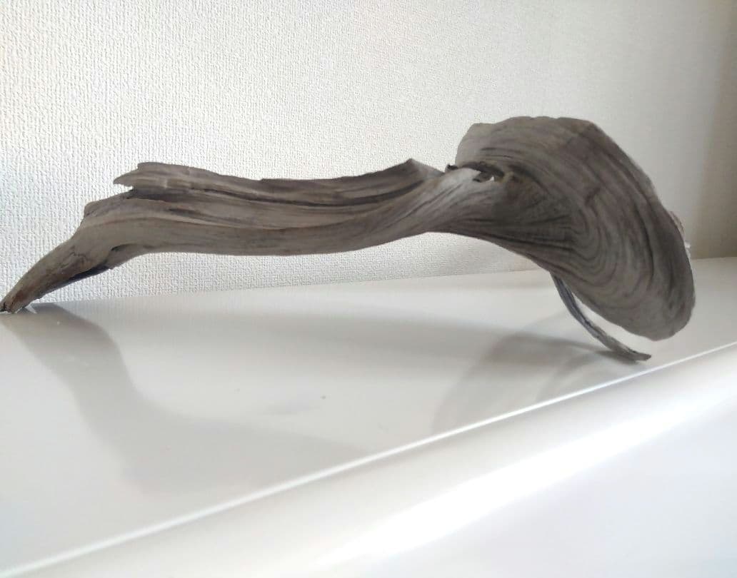 ★大幅値下げしました★真柏の枯れ木(カレボク) 盆栽の枯れ木④　神