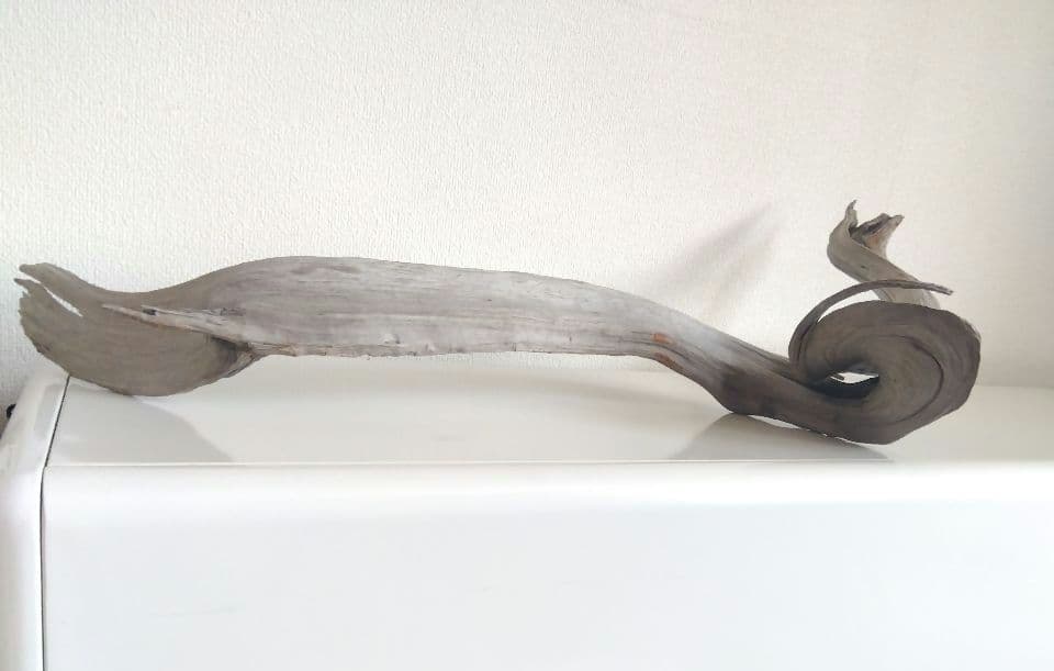 ★大幅値下げしました★真柏の枯れ木(カレボク) 盆栽の枯れ木④　神