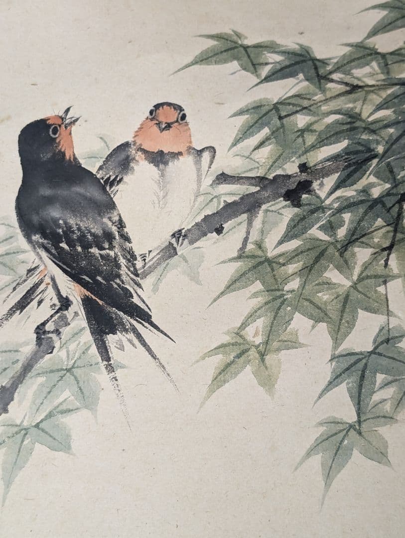 望月玉渓 望月玉泉 燕図 望月玉成 鑑題 日本画 花鳥画 茶掛軸 肉筆青楓飛爆図