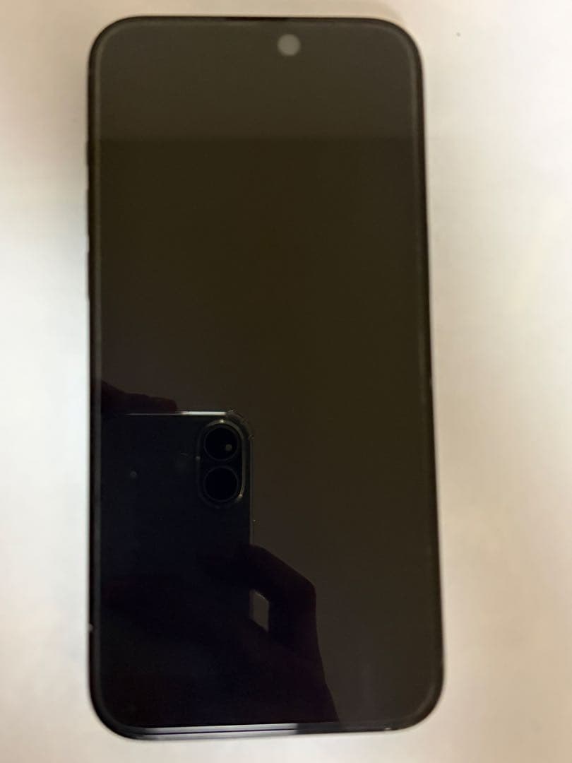 iPhone 15 Pro Max 256GB SIMフリー