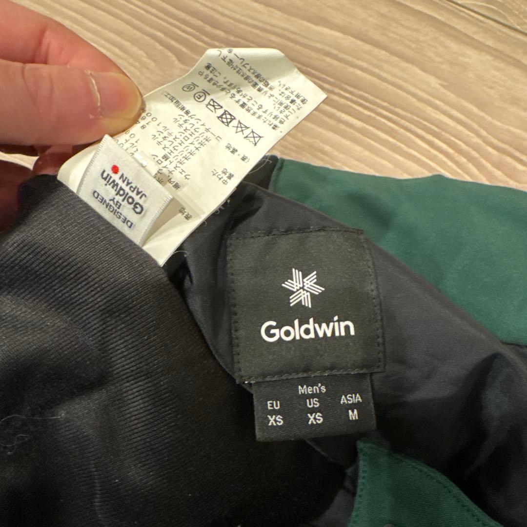 Goldwin スキーウェア上下セット　サイズM (グリーン×ブルー)