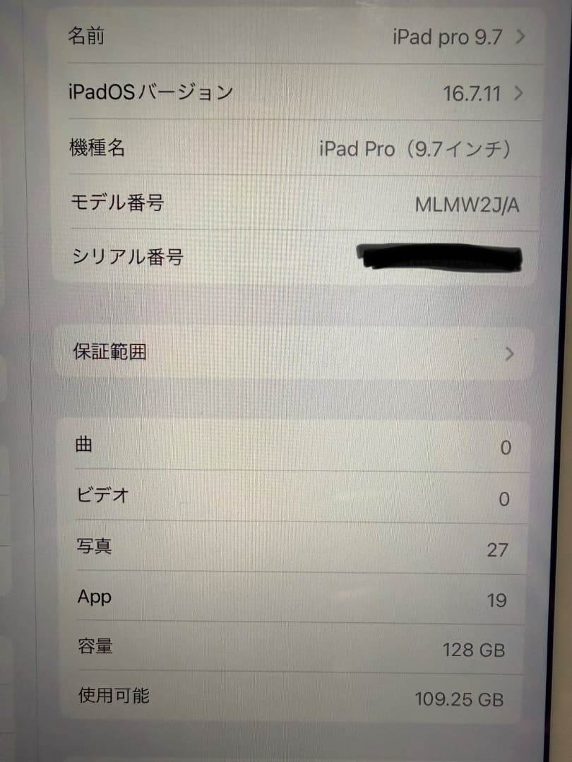 Apple iPad Pro 9.7 128GB 本体 付属品完備