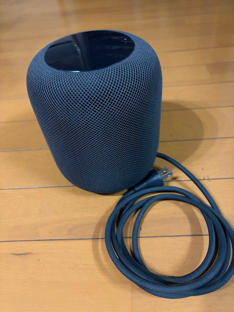 Apple Pod 第1世代 スペースグレー 2台セット