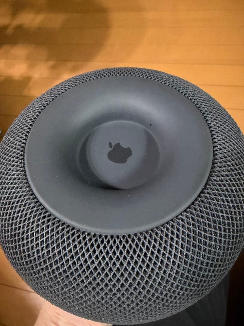 Apple Pod 第1世代 スペースグレー 2台セット