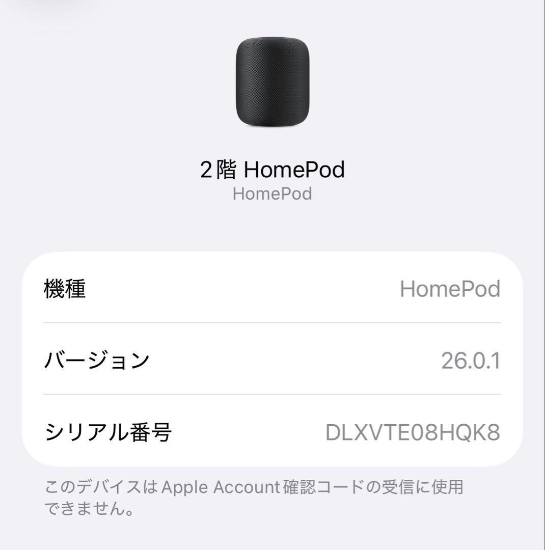 Apple Pod 第1世代 スペースグレー 2台セット