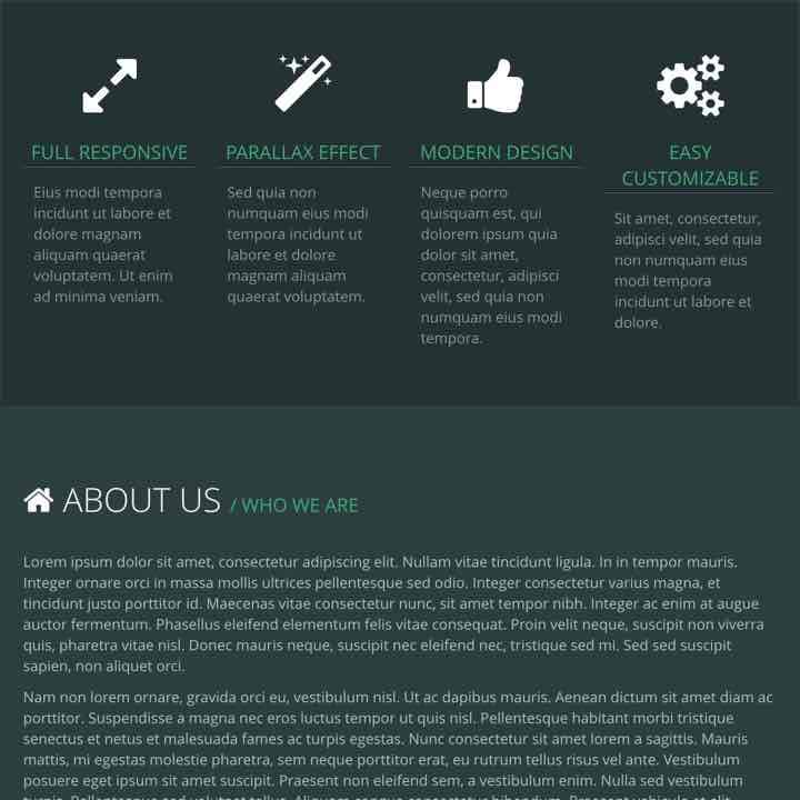 Webサイト運営マニュアル＋おしゃれなwebサイト600種類の中から1つ