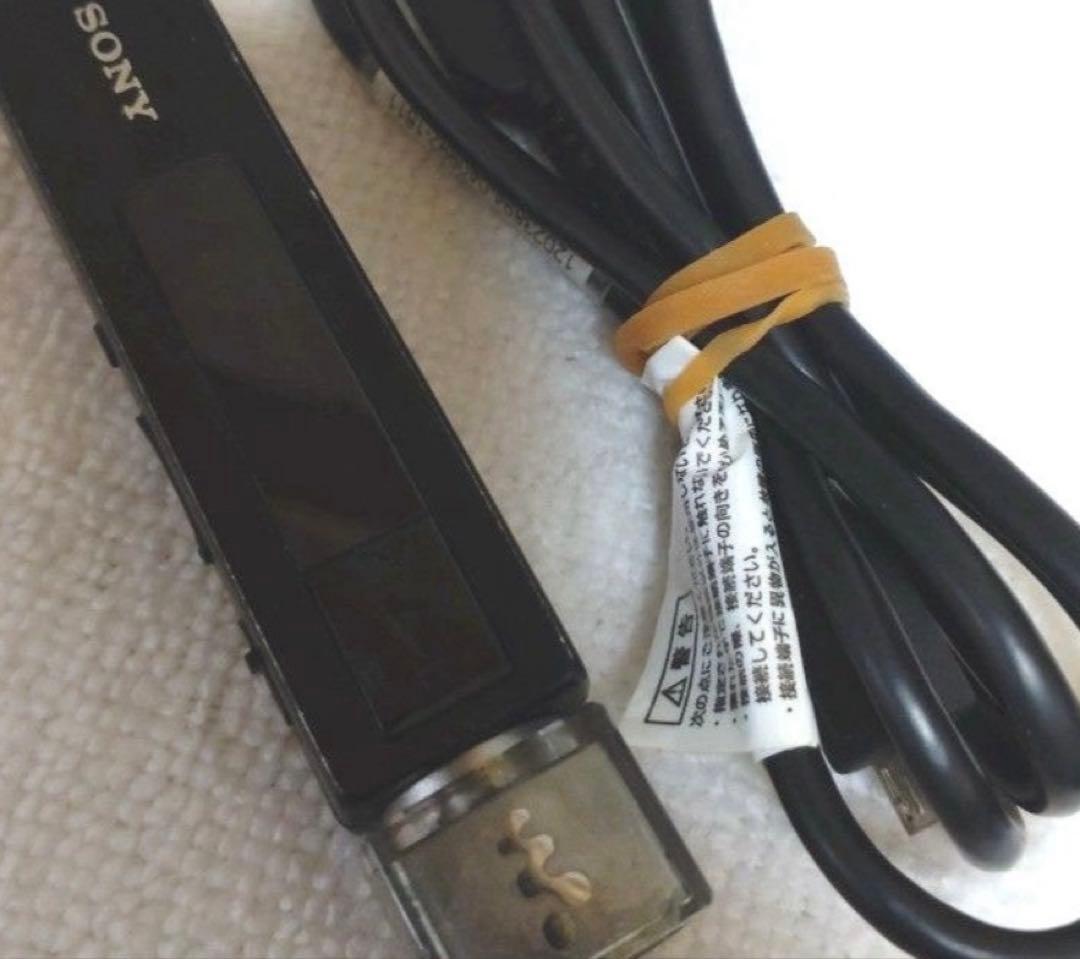 ケース付きSONY ウォークマン Mシリーズ 16GB NW-M505