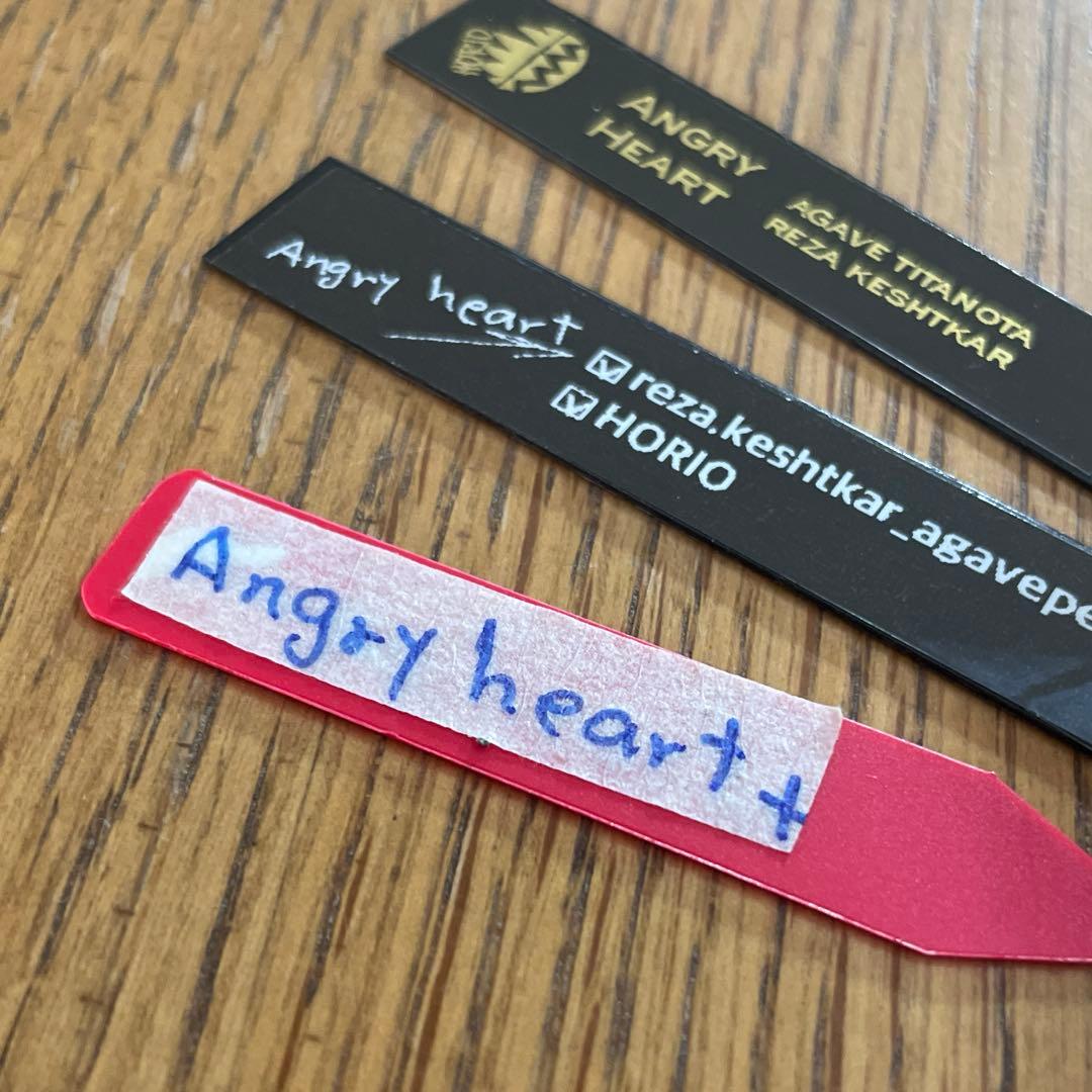 【REZA産】イラン株　選抜　アガベ　アングリーハート　ANGRY HEART