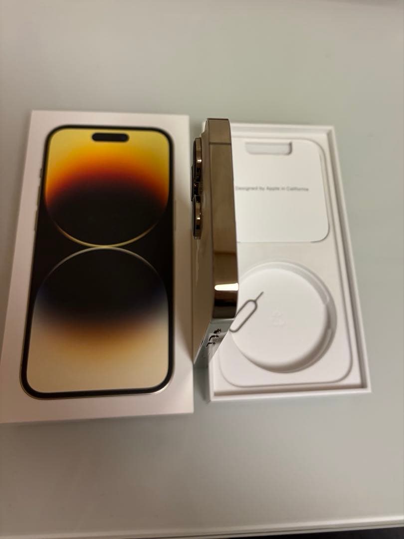 【10月末までの出品】iPhone 14 Pro