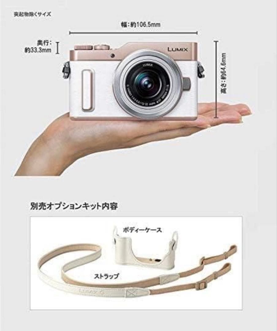 PanasonicミラーレスLUMIX GF10 ダブルレンズキットセット他